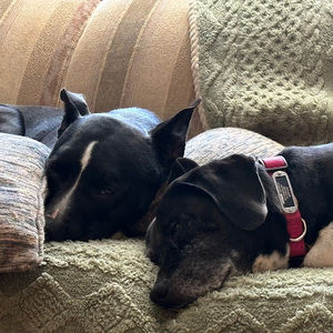 Meet your Posher, Debra